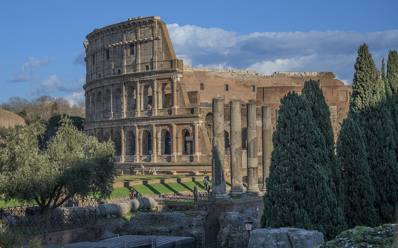 AP Latin dersi kapak görseli