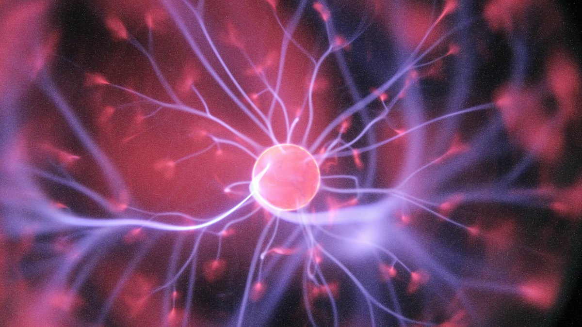 AP Physics C: Electricity and Magnetism dersi kapak görseli
