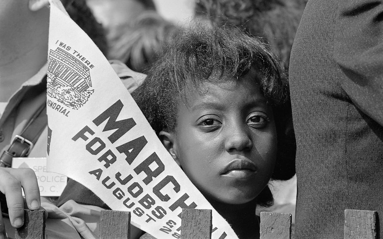AP African American Studies dersi kapak görseli